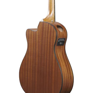 Ibanez AAM54CE-OPN