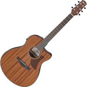 Ibanez AAM54CE-OPN