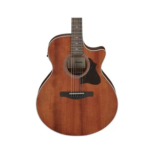 Ibanez AE140-OPN