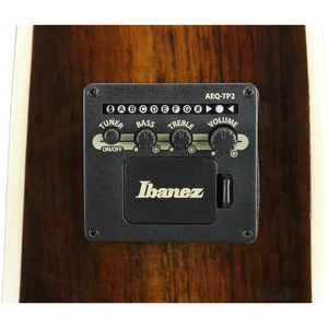 Ibanez AE160-VMS