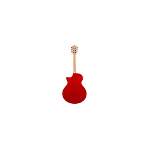 Ibanez AE170-NTR