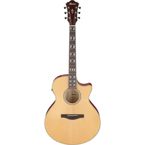 Ibanez AE170-NTR