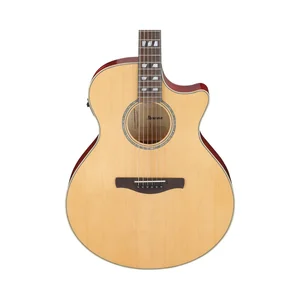 Ibanez AE170-NTR