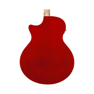 Ibanez AE170-NTR