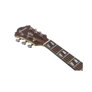 Ibanez AE170-NTR