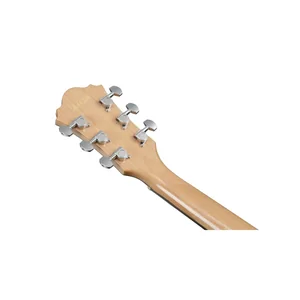Ibanez AE170-NTR