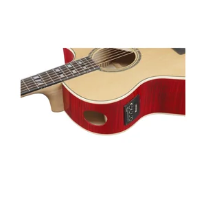 Ibanez AE170-NTR