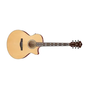 Ibanez AE170-NTR