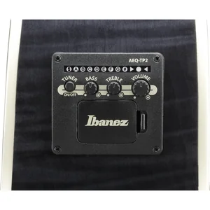 Ibanez AE170-TBK