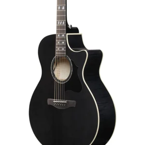 Ibanez AE170-TBK