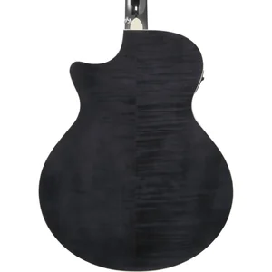 Ibanez AE170-TBK