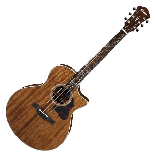 Ibanez AE245-NT