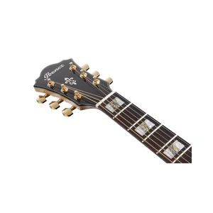 Ibanez AE390-NTA