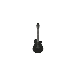 Ibanez AEG1221-BOT