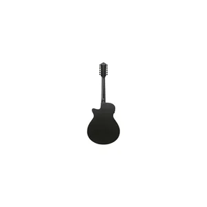 Ibanez AEG1221-BOT