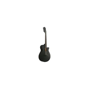 Ibanez AEG1221-BOT