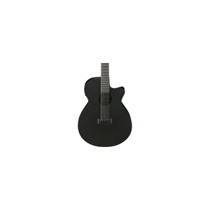 Ibanez AEG1221-BOT