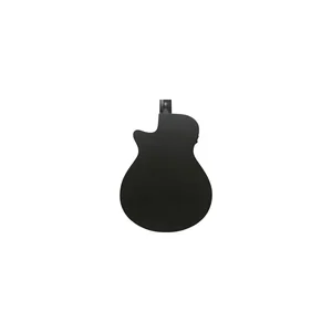 Ibanez AEG1221-BOT