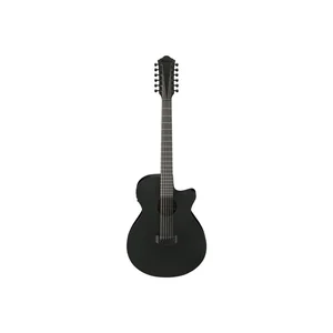 Ibanez AEG1221-BOT