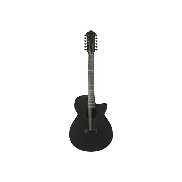 Ibanez AEG1221-BOT