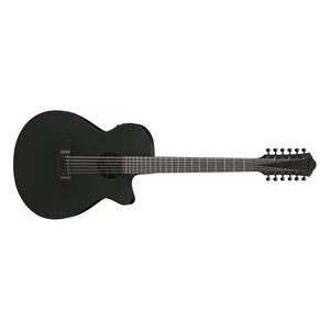 Ibanez AEG1221-BOT