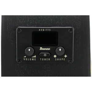 Ibanez AEG1221-BOT