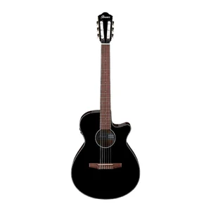 Ibanez AEG50N-BKH Nylon