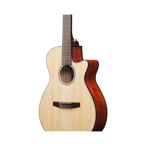 Ibanez AEG50N-NT Nylon