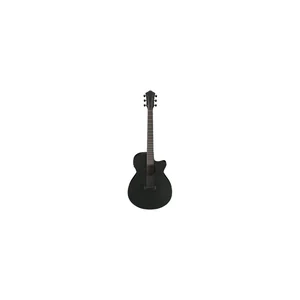 Ibanez AEG621-BOT