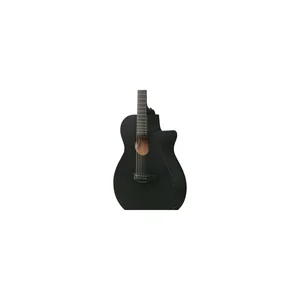 Ibanez AEG621-BOT