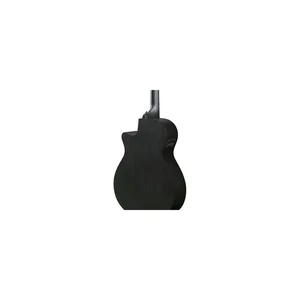 Ibanez AEG621-BOT