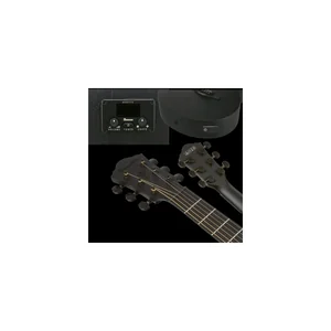 Ibanez AEG621-BOT