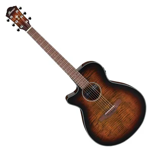 Ibanez AEG70L-TIH