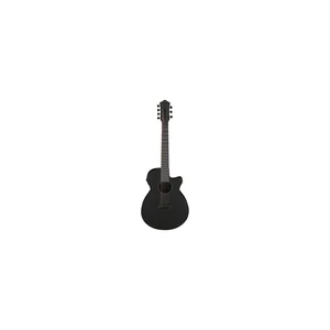 Ibanez AEG721-BOT