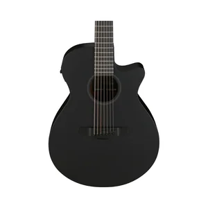 Ibanez AEG721-BOT