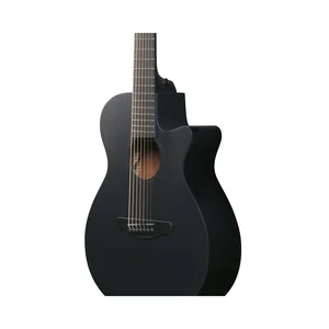 Ibanez AEG721-BOT