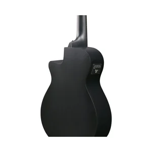 Ibanez AEG721-BOT