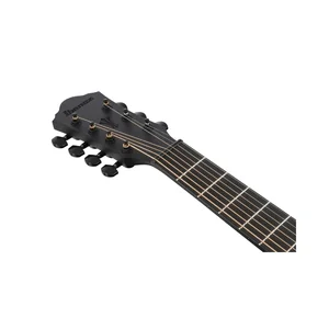 Ibanez AEG721-BOT