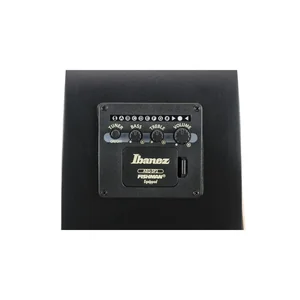 Ibanez AEG721-BOT
