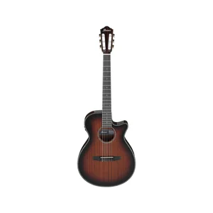 Ibanez AEG74N-MHS