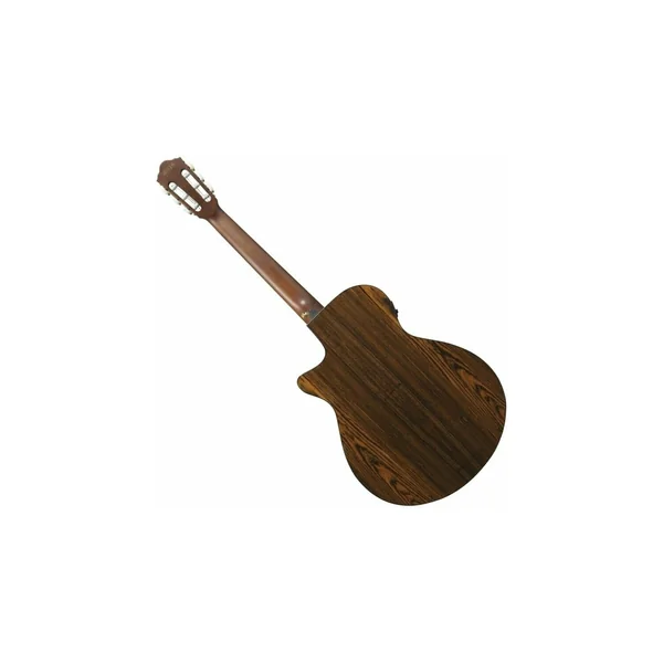 Ibanez AEG74N-MHS