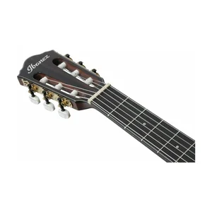 Ibanez AEG74N-MHS