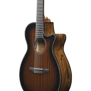 Ibanez AEG74N-MHS