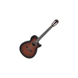 Ibanez AEG74N-MHS