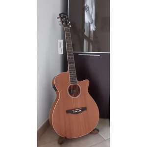 Ibanez AEG7MH-OPN