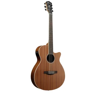 Ibanez AEG7MH-OPN