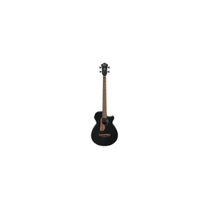 Ibanez AEGB24E-BKH