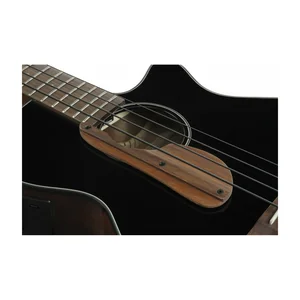 Ibanez AEGB24E-BKH