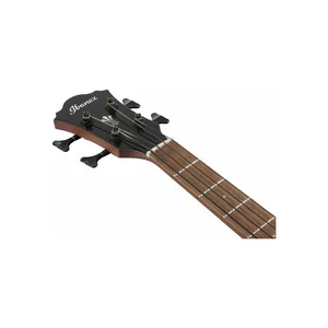 Ibanez AEGB24E-BKH