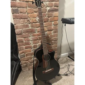 Ibanez AEGB24E-BKH